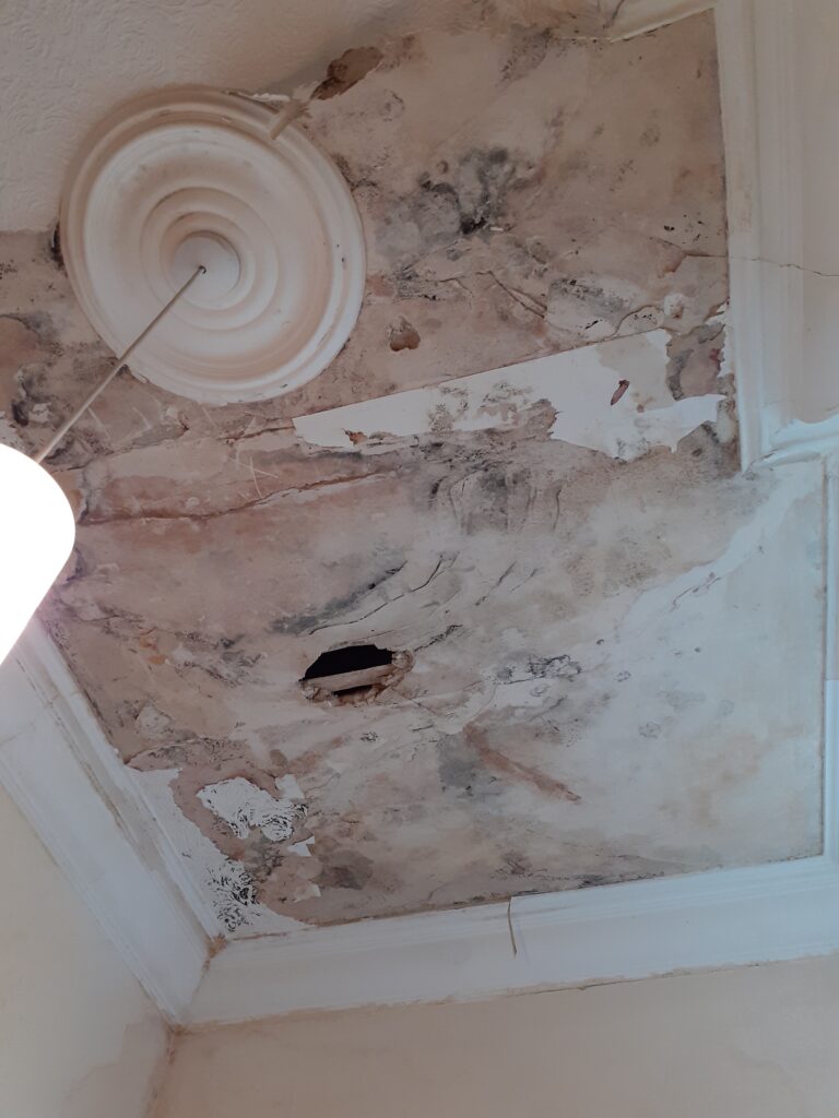 Rain came through the roofspace above, causing a hole in the plaster and the wallpaper came down.