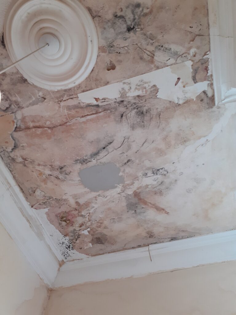 Filled all holes in the ceiling