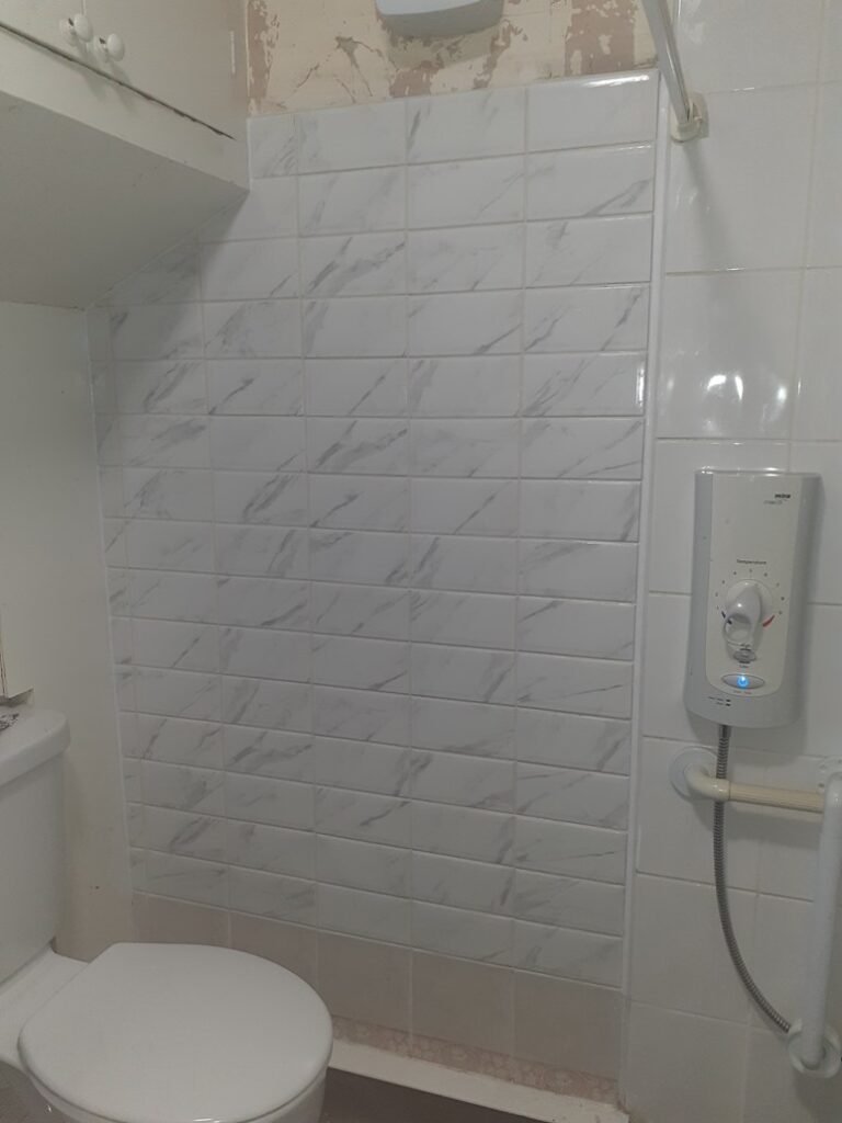 Customer was given some tiles and asked me to tile a part of the wall next to the toilet